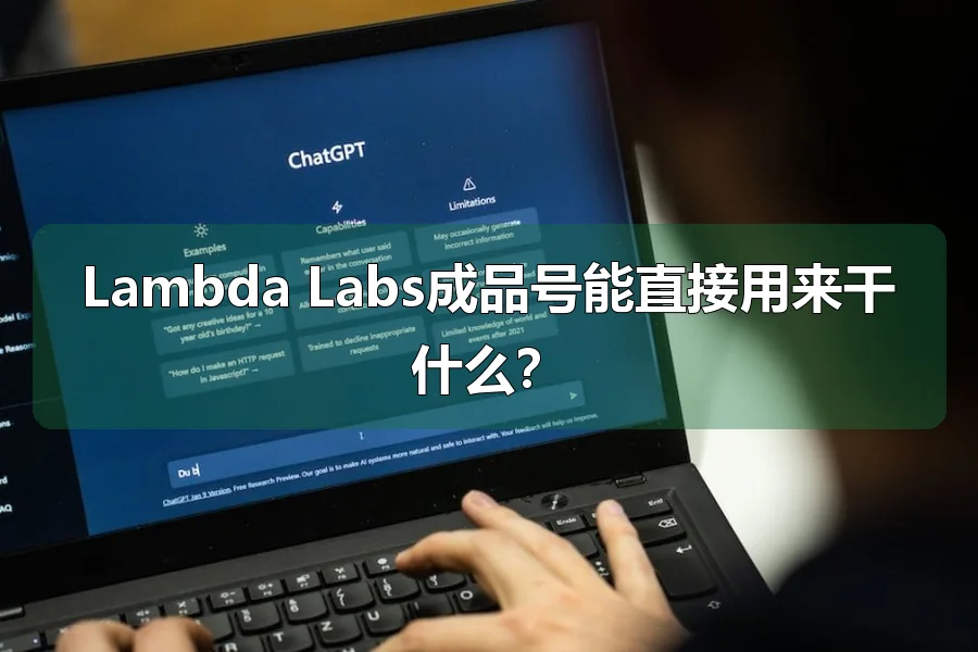 Lambda Labs成品号能直接用来干什么？
